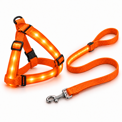 LumiPaw — Pack correa + arnés LED
