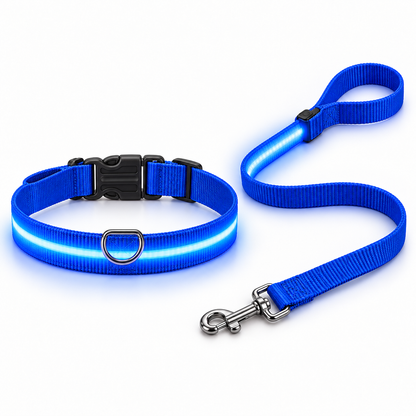 LumiPaw — Pack correa + collar LED