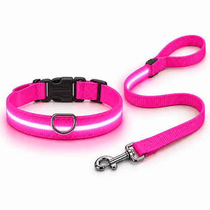 LumiPaw — Pack correa + collar LED