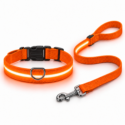 LumiPaw — Pack correa + collar LED