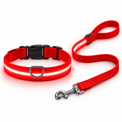 LumiPaw — Pack correa + collar LED